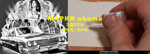 прущие грибы Алексин