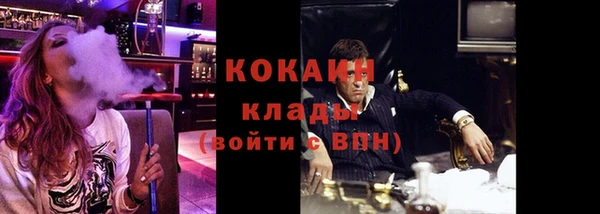 прущие грибы Алексин