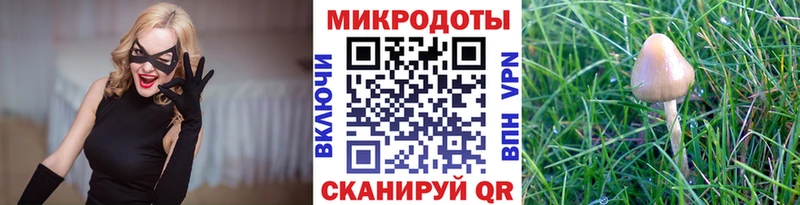 закладка KRAKEN зеркало Псилоцибиновые грибы ЛСД Спасск